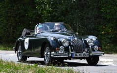 DSC_7834-d500c.jpg DSC_7834-d500c.jpg