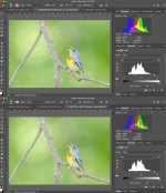 bitDepth.jpg bitDepth.jpg