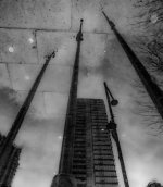 Week 7 - Reflections in Water 1.jpg