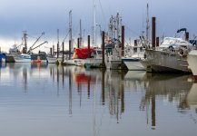 Week 7 - Reflections in Water 6.jpg