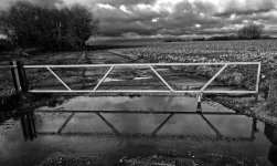 Gate Reflect 0Mono 01.jpg