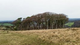 024 Ringmoor Copse 02-2000190 PS Adj Upload.jpg 024 Ringmoor Copse 02-2000190 PS Adj Upload.jpg