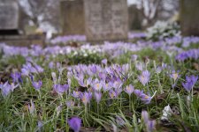 1-DSC00928.jpg 1-DSC00928.jpg