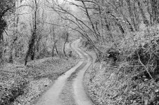 000072720018a.jpg 000072720018a.jpg