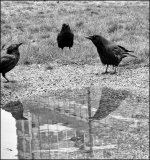 Feb 13-26 (1 of 15).jpg Feb 13-26 (1 of 15).jpg