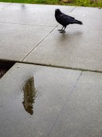 Feb 13-26 (5 of 15).jpg Feb 13-26 (5 of 15).jpg