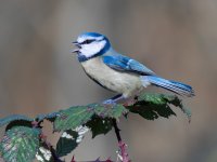 2026-02-22 10.17.05.jpg