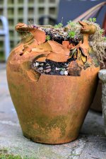 2R1A5195TTx760.jpeg 2R1A5195TTx760.jpeg