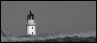 Rattery head 1.2.JPG