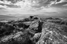 024a Hart Tor (B&W) 05a-1000514 PS Adj Upload.jpg