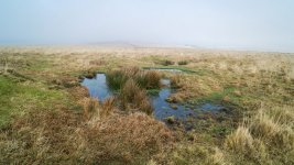 010 Wet Ground on way to Cramber Trig Point 01-1000484 PS Adj Upload.jpg