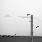 WordPress - 1024_gms_20260307_7537182.jpg WordPress - 1024_gms_20260307_7537182.jpg