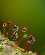 Week 10 - Inspired by a Song 1.jpg Week 10 - Inspired by a Song 1.jpg