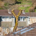 001 Y Tree 01-1110 PS Adj Upload.jpg