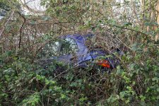 IMG_0451xxx.jpg IMG_0451xxx.jpg