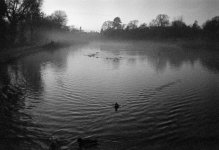 2512APMXBW26 Misty.jpg