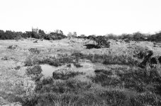 001015220002a.jpg 001015220002a.jpg