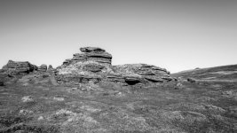 022a Arms Tor BW 08-1000547 PS Adj Upload.jpg