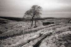 2026-3-18 Nenthead, OLY 35rc, FP4 type 517, EI 100, d23r 14m30s, 014.jpg 2026-3-18 Nenthead, OLY 35rc, FP4 type 517, EI 100, d23r 14m30s, 014.jpg