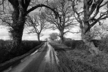 2603APMXBW07 Hollis Lane 26 March.jpg