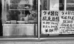 Week 12 - Daily Life 4.jpg Week 12 - Daily Life 4.jpg