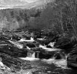 img262-copy.jpg-tp.jpg img262-copy.jpg-tp.jpg