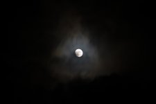 Week 13 -  Night Sky.jpg