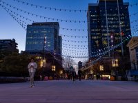 Week 13 - Night Sky 4.jpg Week 13 - Night Sky 4.jpg