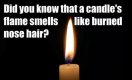 cool-prank-candle-burnt-nose-hair.jpg