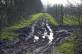 muddy track.jpg