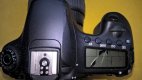 Canon 60D Damage.jpg