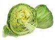 300x224xiceberglettucenutritionhalf.jpg.pagespeed.ic.mHcMBjC-UX.jpg