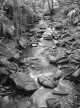 2016-7-15, Devils Water, GA645, FP4+, Firstcall Dev, 001.jpg 2016-7-15, Devils Water, GA645, FP4+, Firstcall Dev, 001.jpg