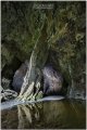 Cathedral Caverns - David Goodier photography 1 - WEB.jpg