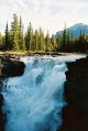 Athabaska Falls7.JPG
