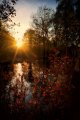 Autumn-Sunset.jpg