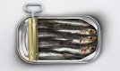 Like-Sardines-in-a-Can-013.jpg