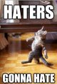 funny-cat-haters-gonna-hate-4815.jpg