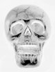 Skull.jpg