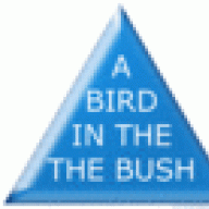 birdinthethebush