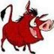 pumbaa