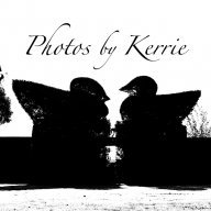 PhotosbyKerrie