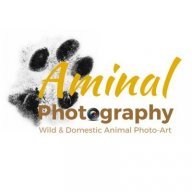 Aminal Photography