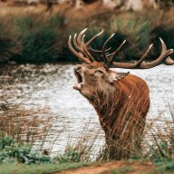 Hayley.PricePhotography