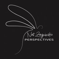 Nat Zagninski Perspective
