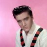 elvis