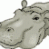Hippo