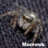 Macrouk