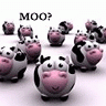 Doodle Moo