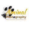 Aminal Photography
